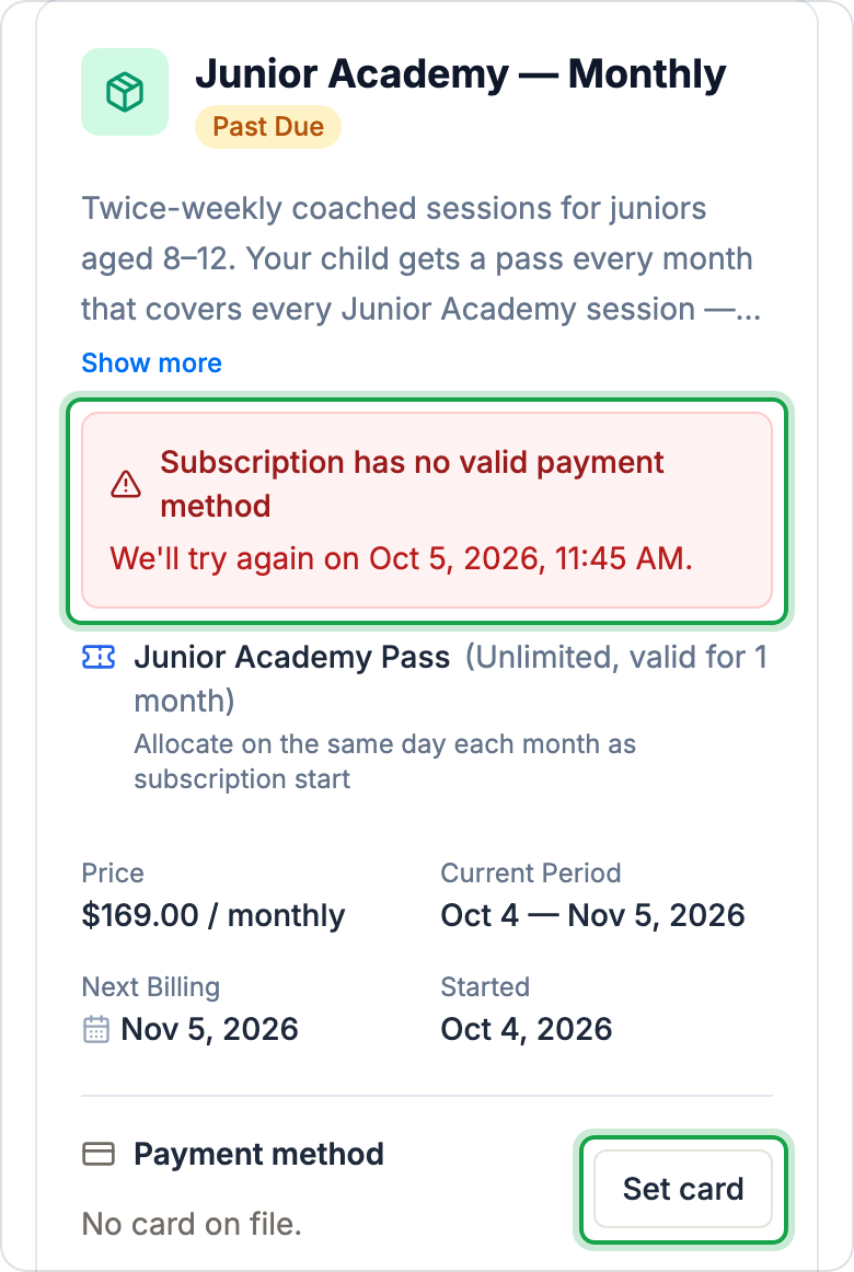 A Junior Academy subscription marked Past Due on a phone. A red notice says there is no valid payment method and when the next try is, and the Set card button under Payment method is marked.